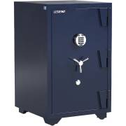 Két sắt điện tử 255kg LG208K1DT