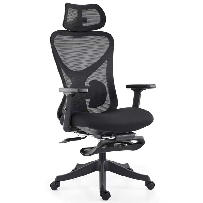Ghế Ngồi Làm Việc Công Thái Học FMX822C